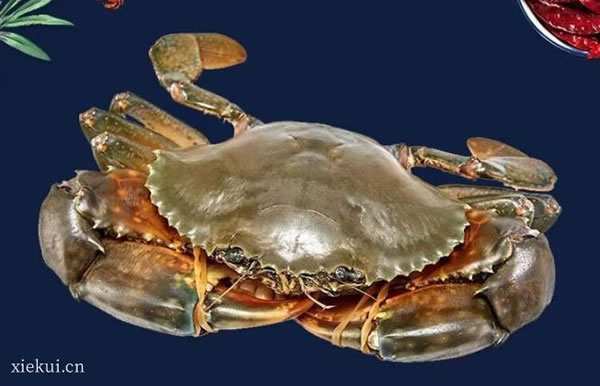 ЩСзļɺͲ?