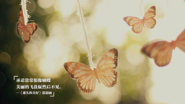 ֶƵӪЩ