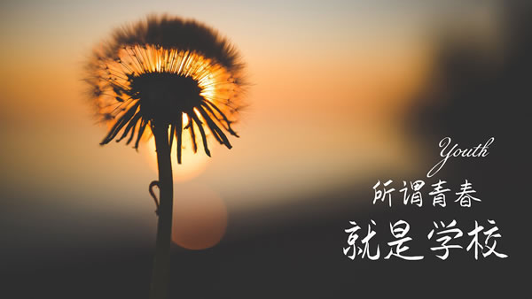 Сô׬Ǯ,Щʽ?
