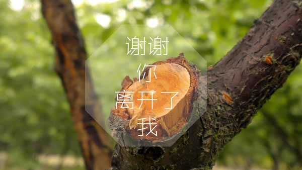 ټҺӪƹô׬Ǯ