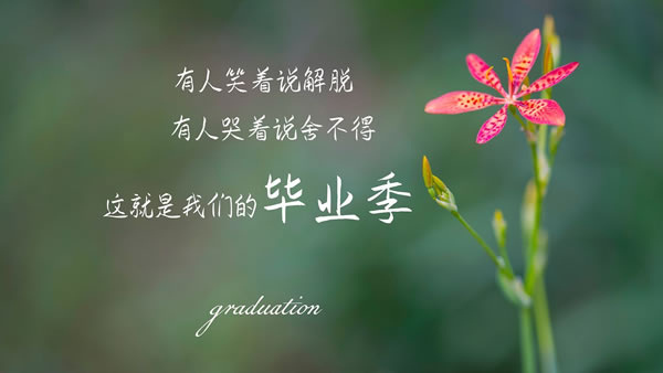 ֵӪ