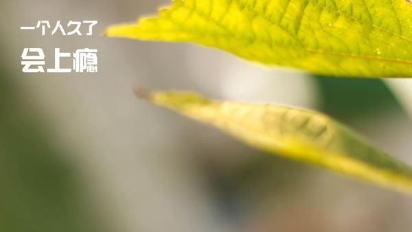 涶׬Ǯ