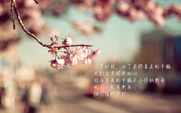 ڶϴƵ׬Ǯ
