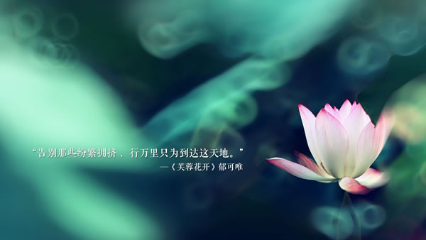 Ѻô׬Ǯ