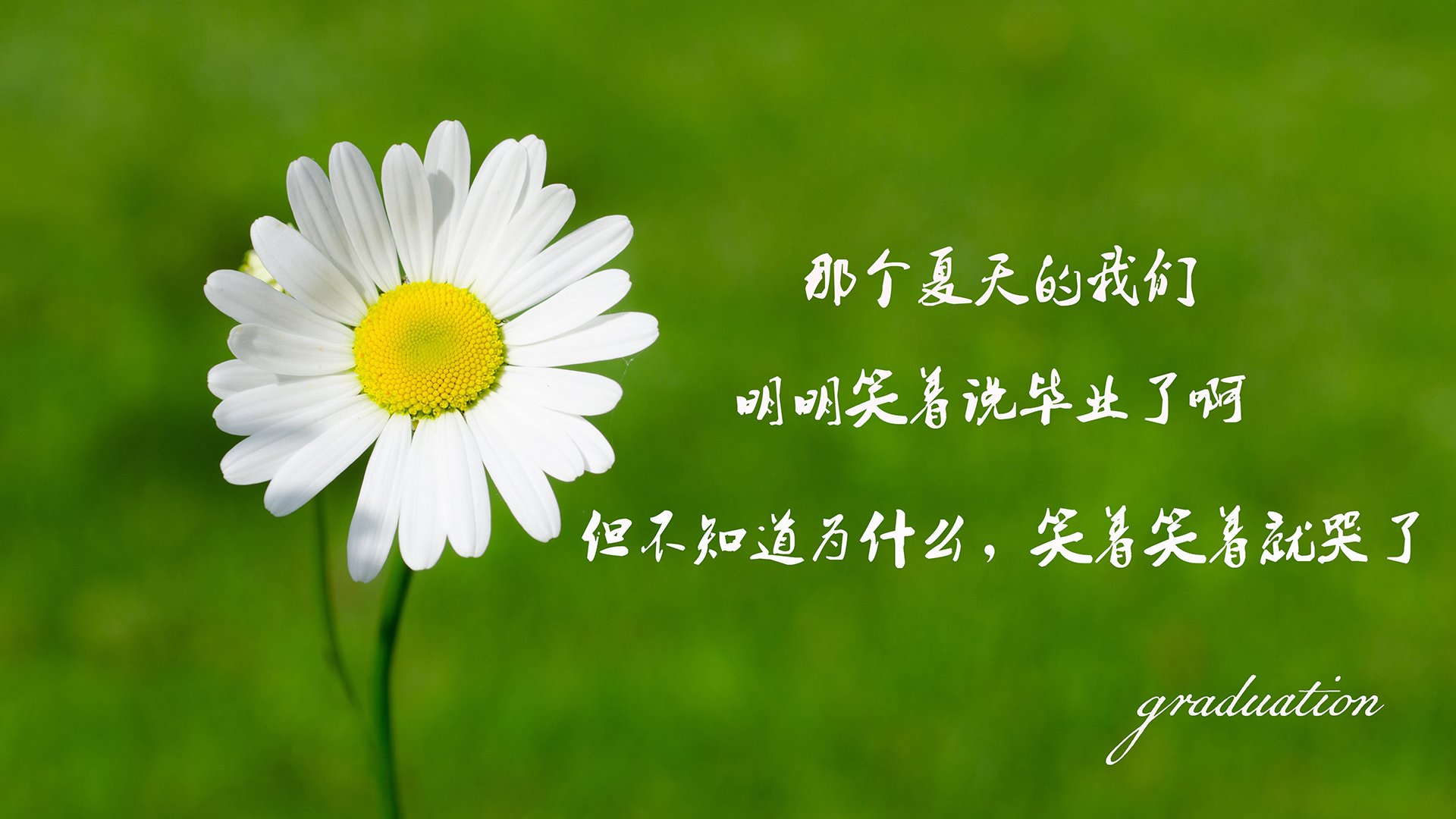 ͷʺδӪ