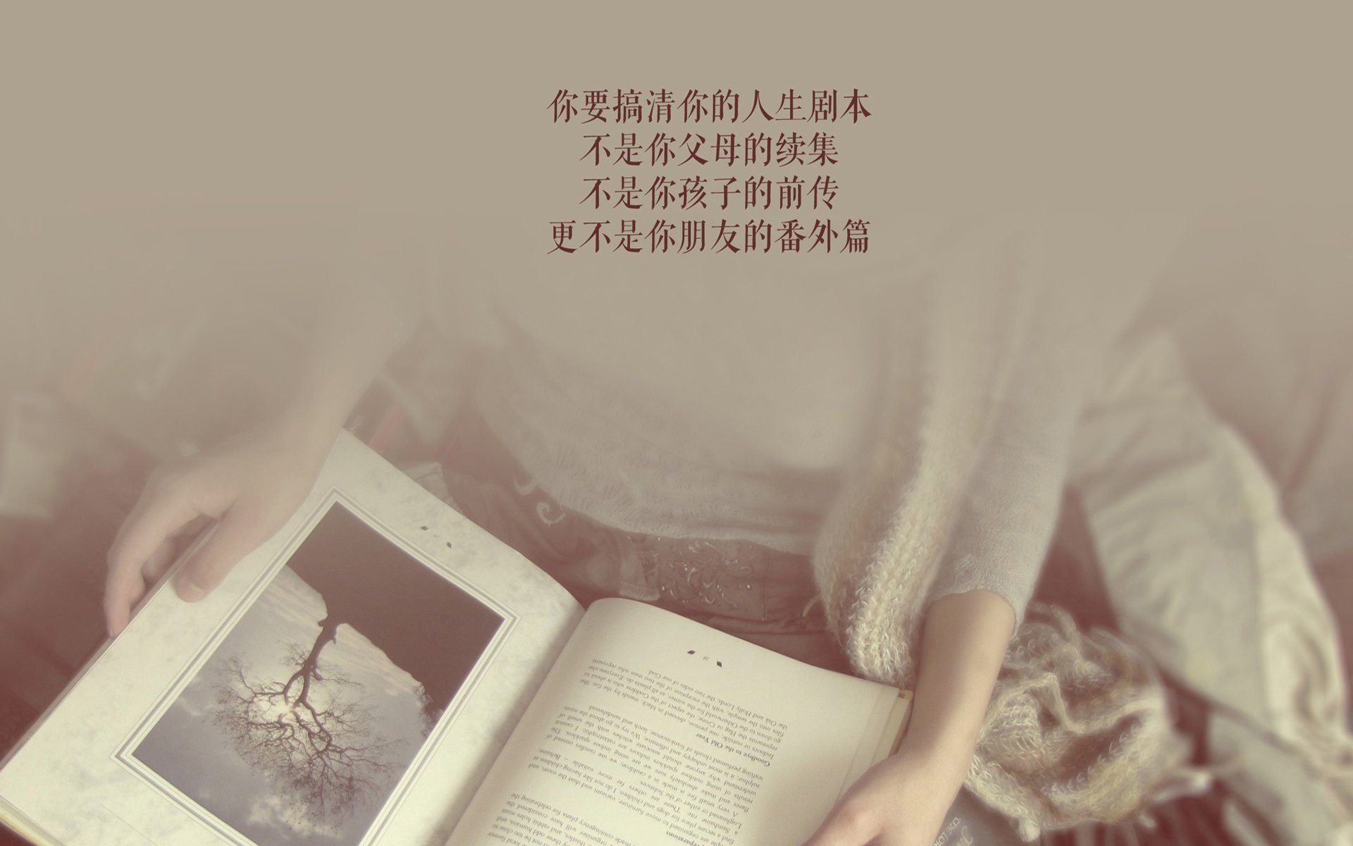 ÿƵýô׬Ǯ