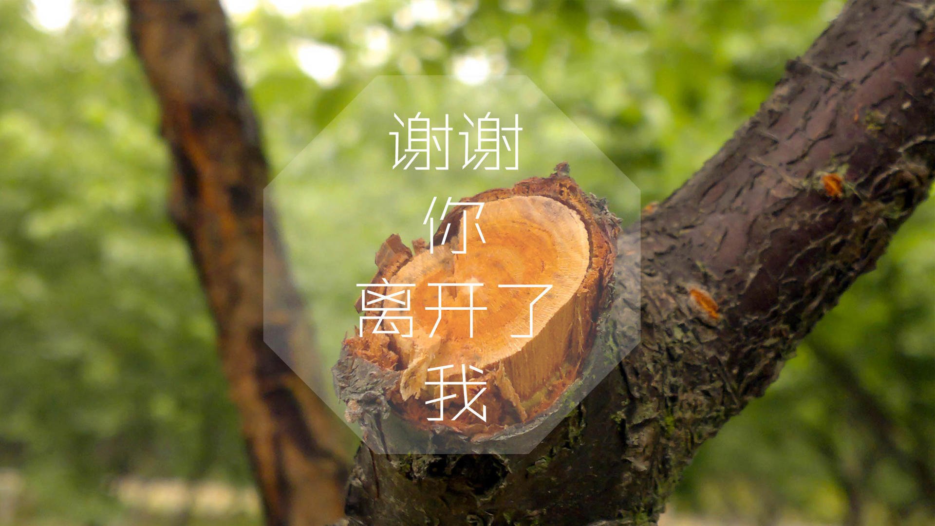 如何用短视频来推广山西省晋城的旅游景点