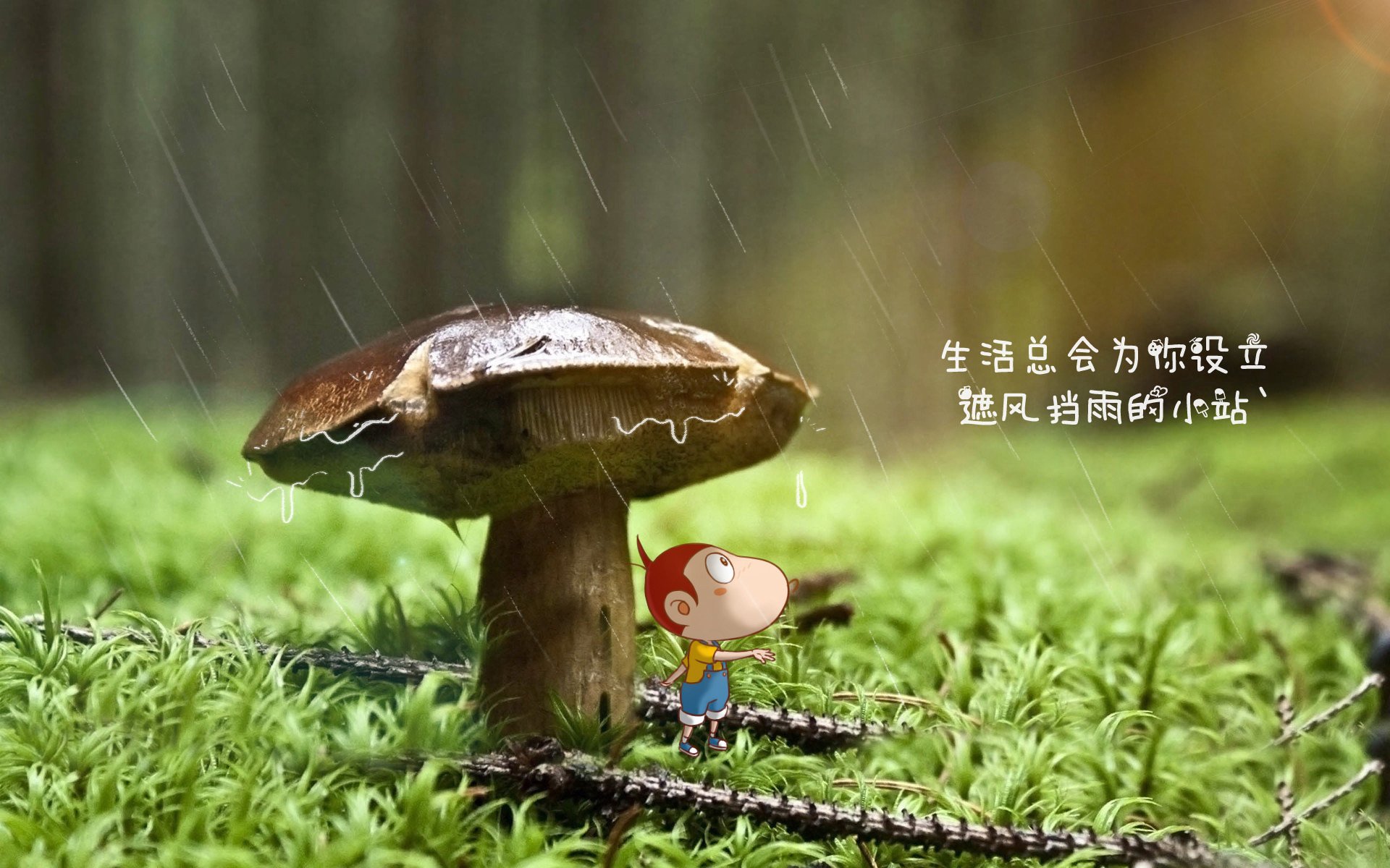 ȫСƵ˺Ӫ