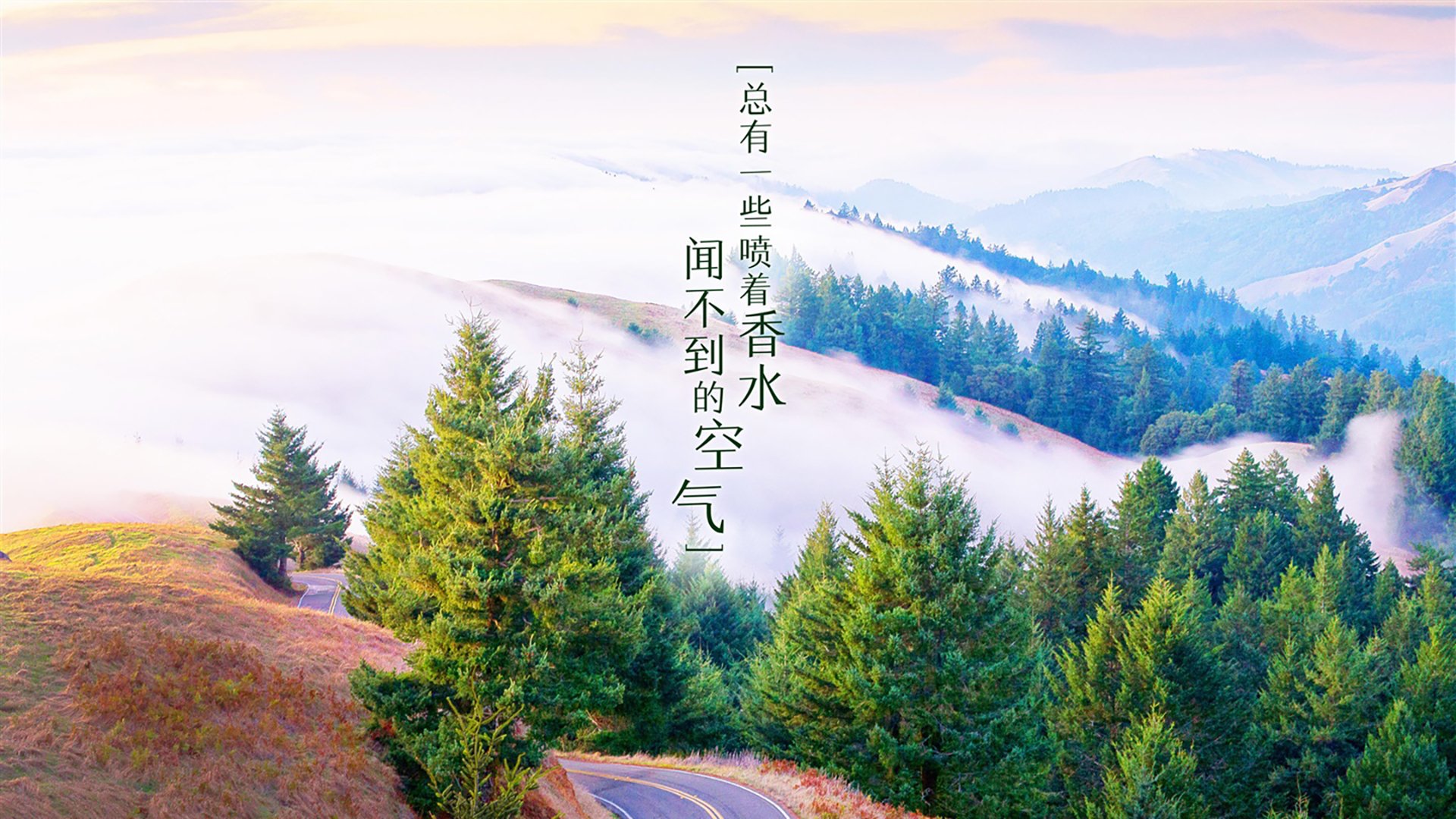 ҳô׬Ǯ