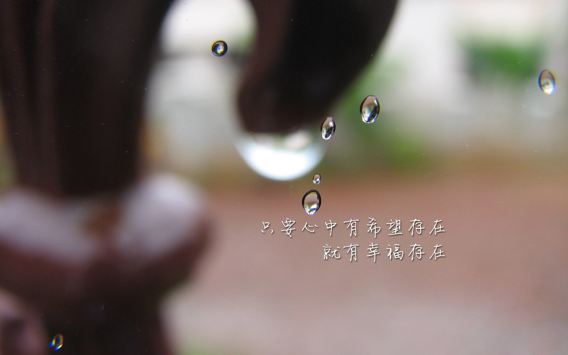 ÿƵƵ׬Ǯ