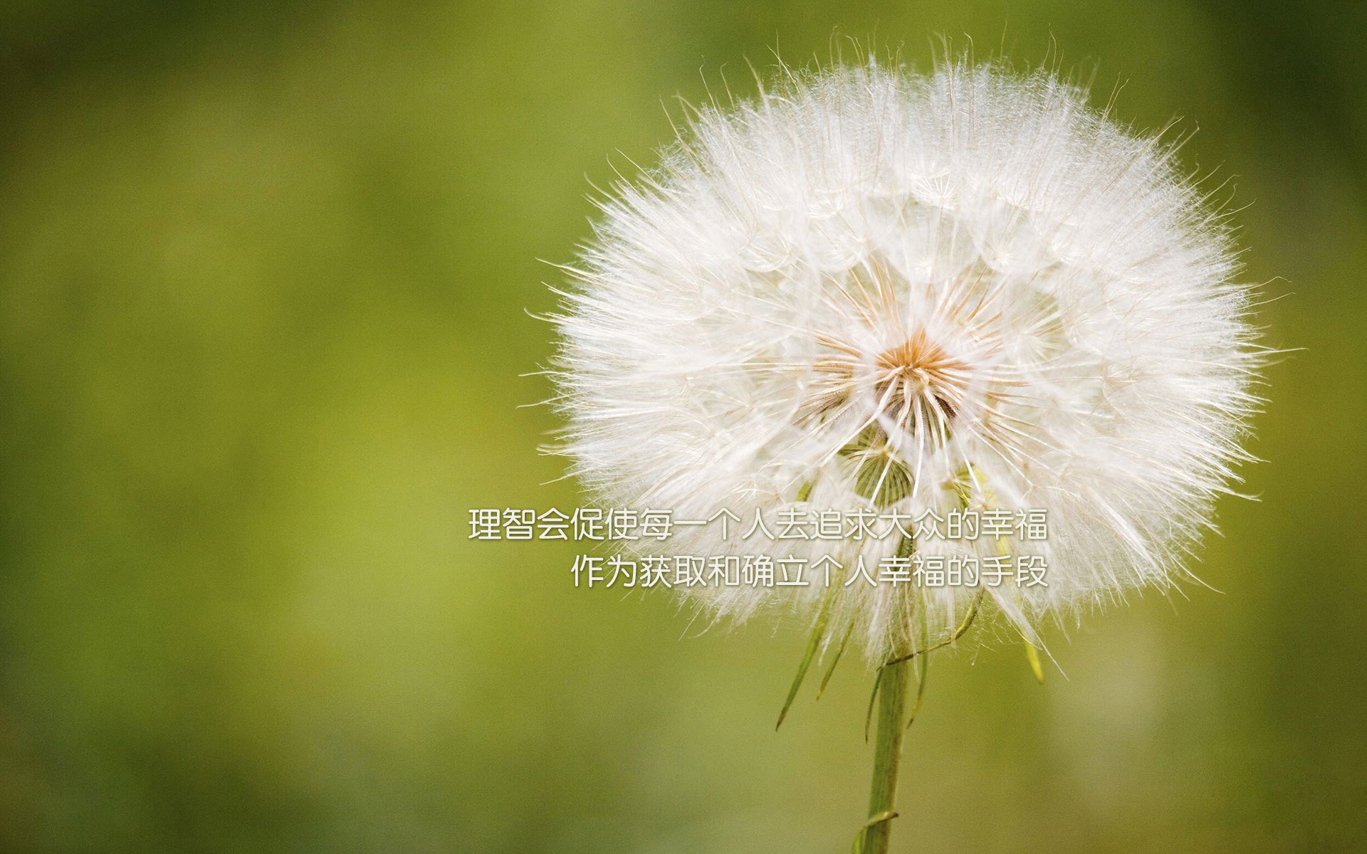 ƵĺÿƵô׬Ǯ