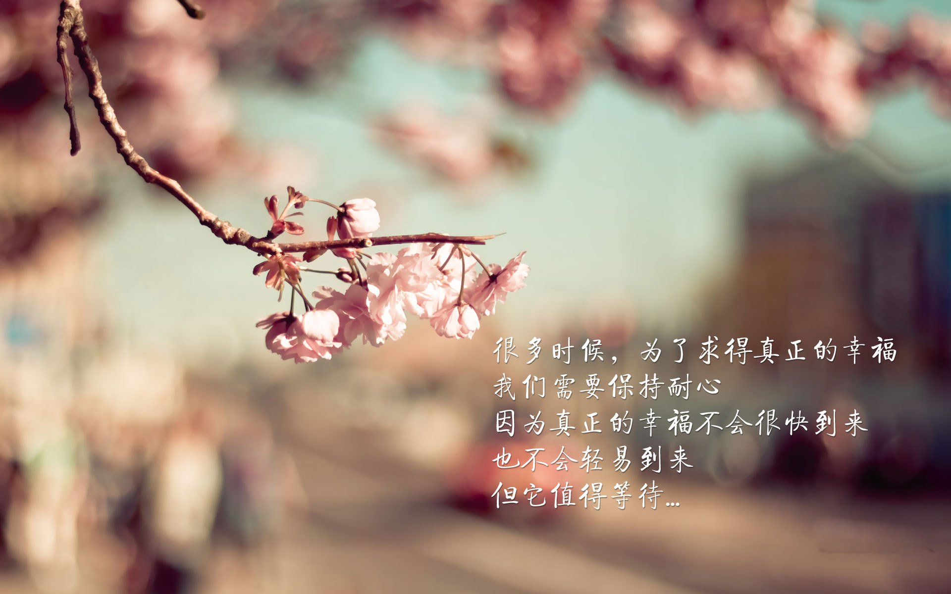 Ƶ׬Ǯ